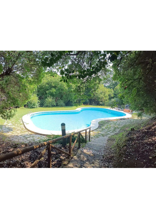 Affitto magnifica villa con piscina e parco vicino mare e spiagge